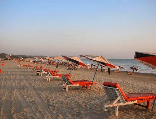 Dhaka to Cox’s Bazar Flight Schedule